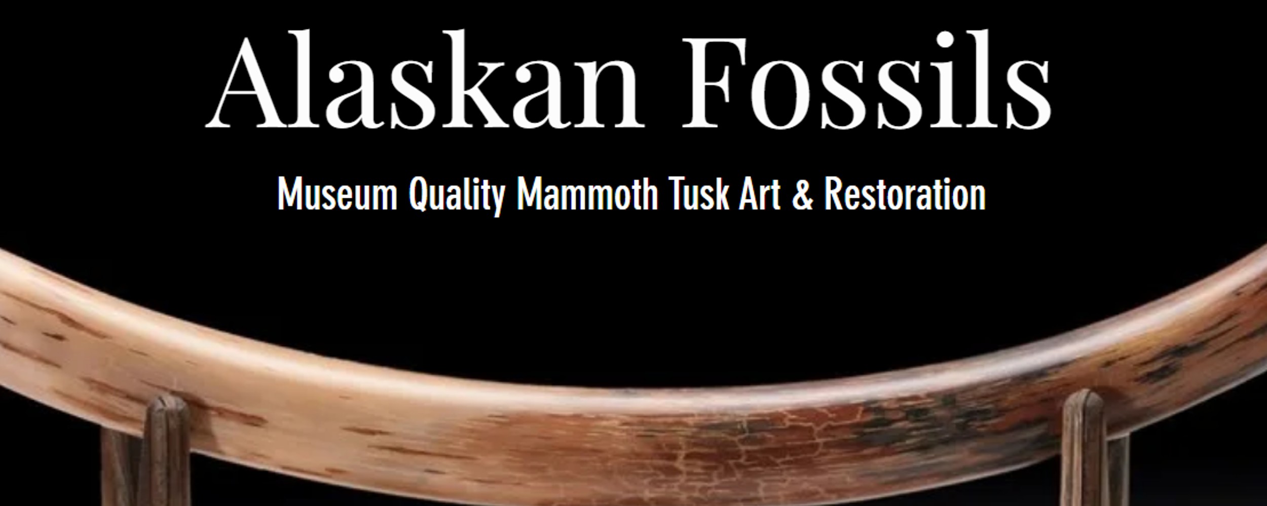 Alaskan Fossils