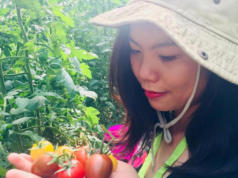 Nguyen Bich Thao 2015-2016 Nguyen Bich Thao 2015-2016