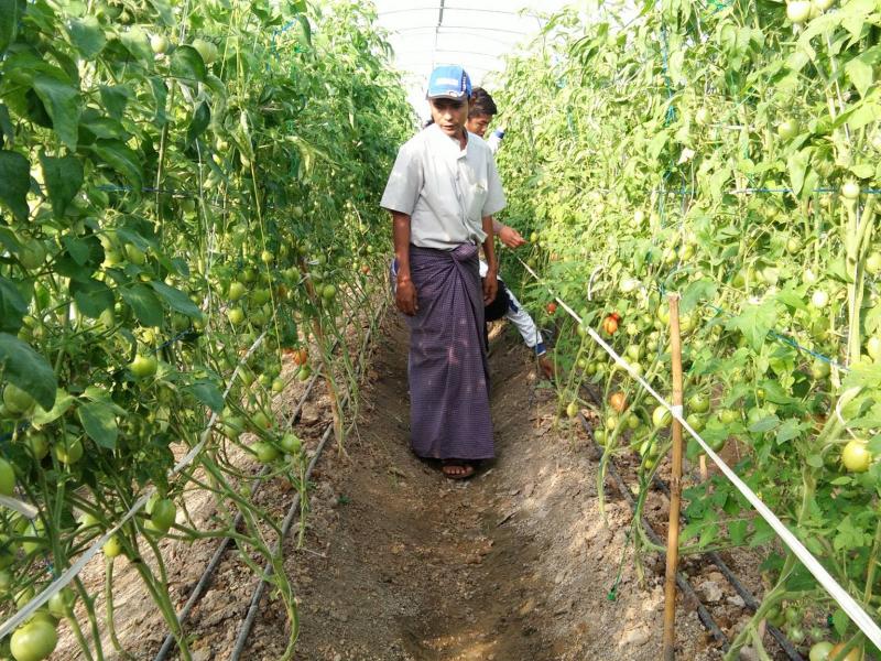U Kyaw Kyaw 2016-2018 U Kyaw Kyaw 2016-2018