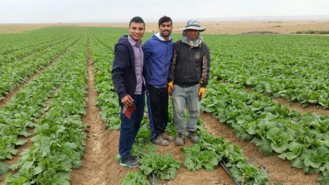 group leaders at the farms