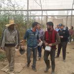 group leaders at the farms