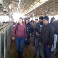 Trip to the Dairy Farm with DR. Einat Shavit