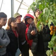 In New Technologies course  the students visit the greenhouses of the research and development center