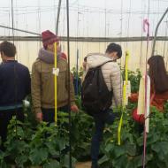 In New Technologies course  the students visit the greenhouses of the research and development center