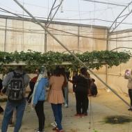 In New Technologies course  the students visit the greenhouses of the research and development center