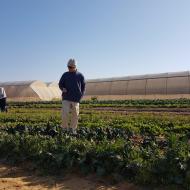 Visiting an Organic Farm