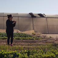 Visiting an Organic Farm