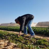 Visiting an Organic Farm