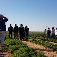  Organic Farm-different field crops