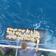 Trip To Eilat Nov. 2016