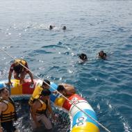 Trip To Eilat Nov. 2016